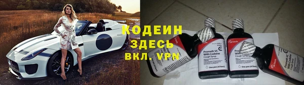 молекула духа Болхов