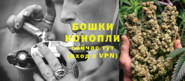 сатива Баксан