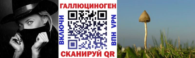 Псилоцибиновые грибы мухоморы  кракен маркетплейс  Беломорск 