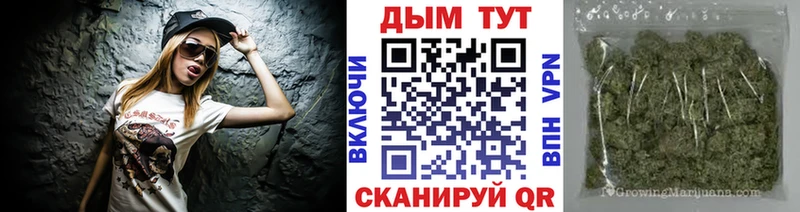 Бошки Шишки гибрид  купить  цена  Беломорск 